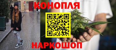 Альфа ПВП Нальчик
