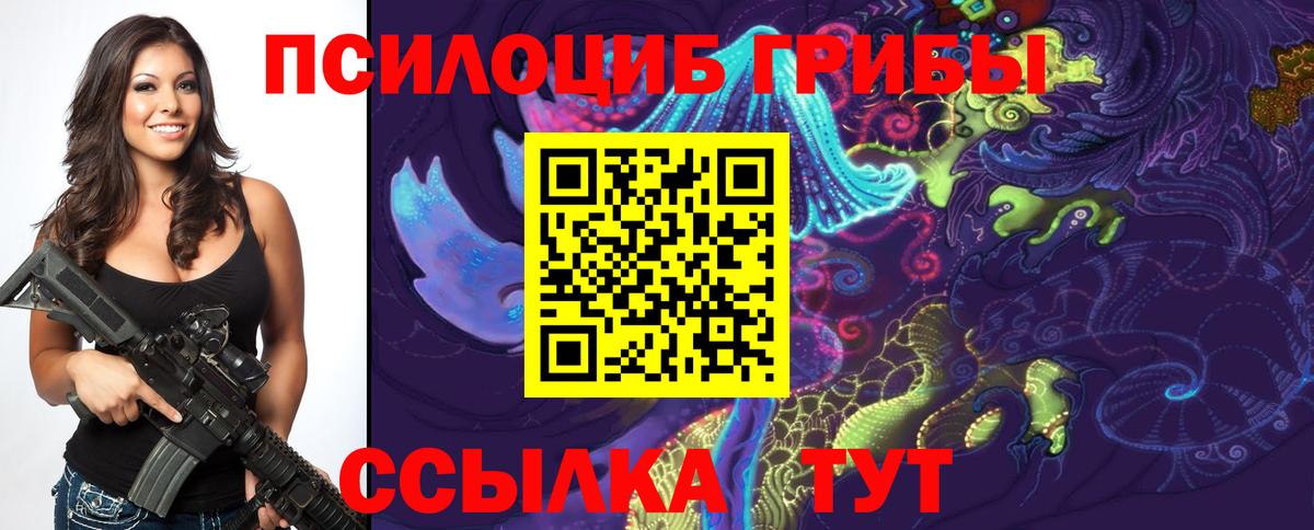 Галлюциногенные грибы прущие грибы Сланцы
