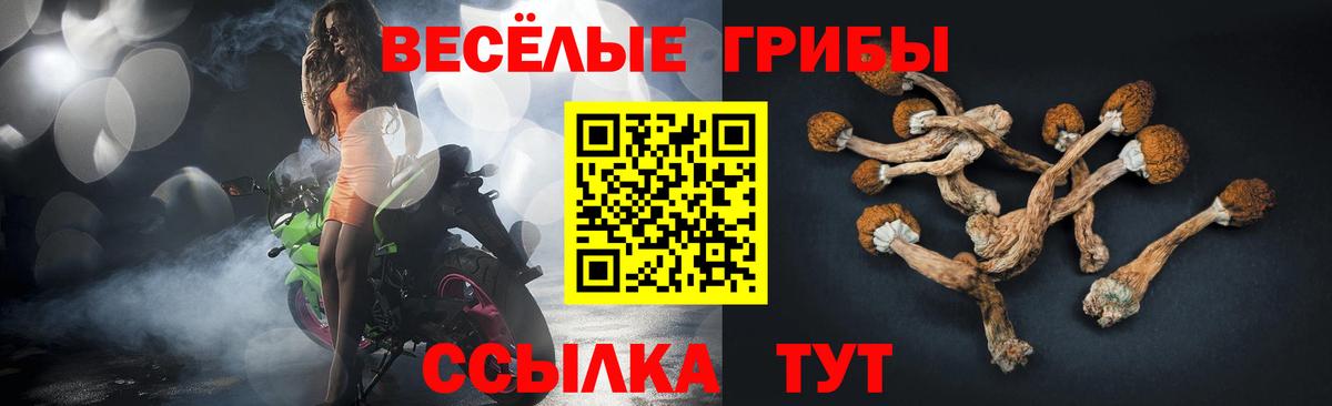 Галлюциногенные грибы Cubensis  Галлюциногенные грибы MAGIC MUSHROOMS  Сланцы  купить наркоту  Вход с VPN 